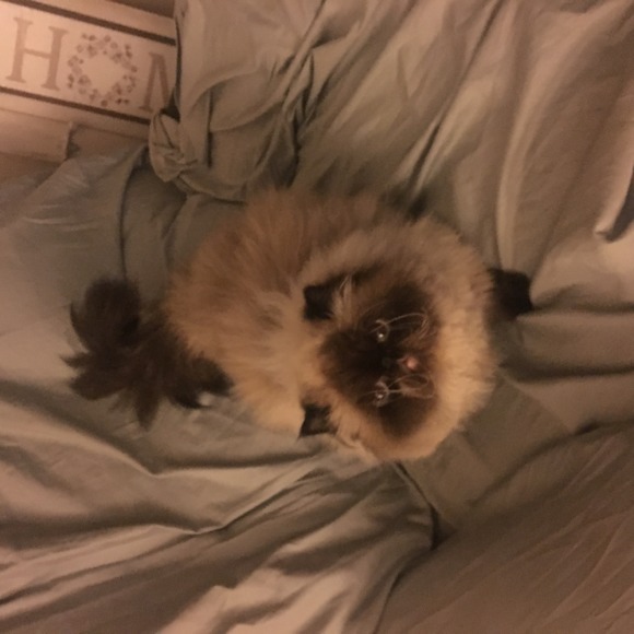 wendylynnpetty3